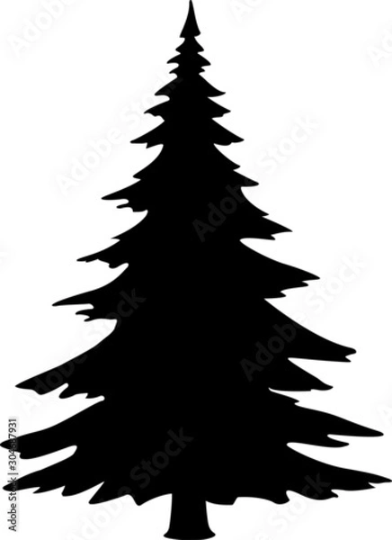 Obraz Tanne Silhouette