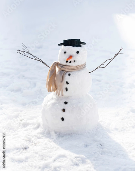 Fototapeta The snowman