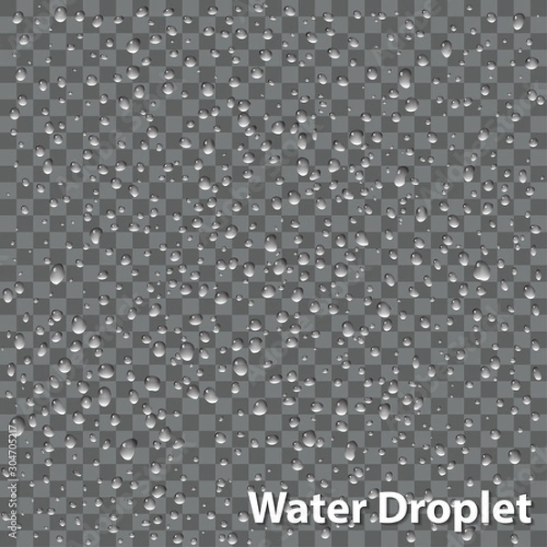 Obraz Vector Water Droplet Overlay | EPS10 Vector