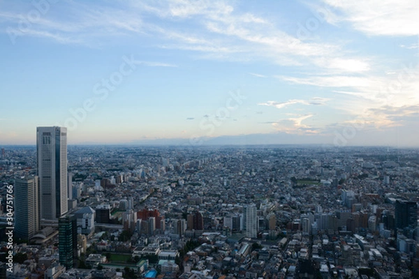 Obraz Vista de Tokio