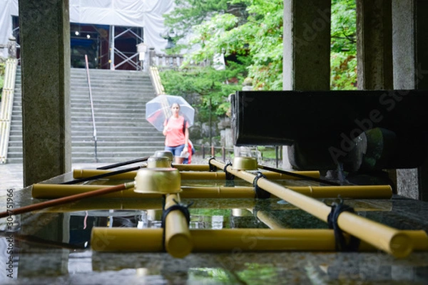 Obraz Fuente japonesa