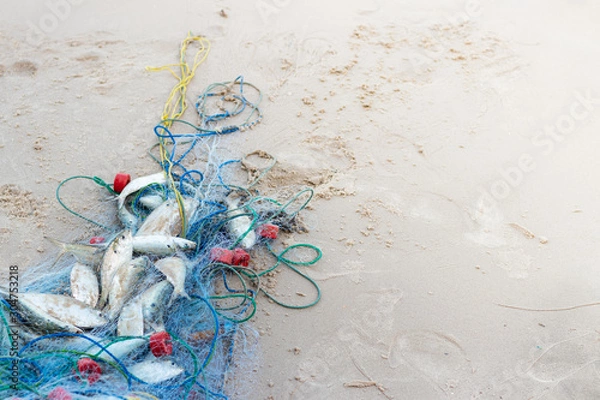 Fototapeta Trawl that has fish inside Was laid on the beach Prepare to separate the fish And shipped to sell at the market. Fishing business