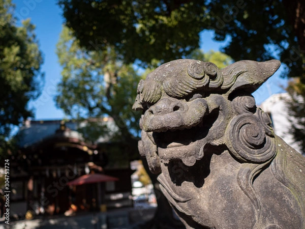 Fototapeta 日本の神社の狛犬