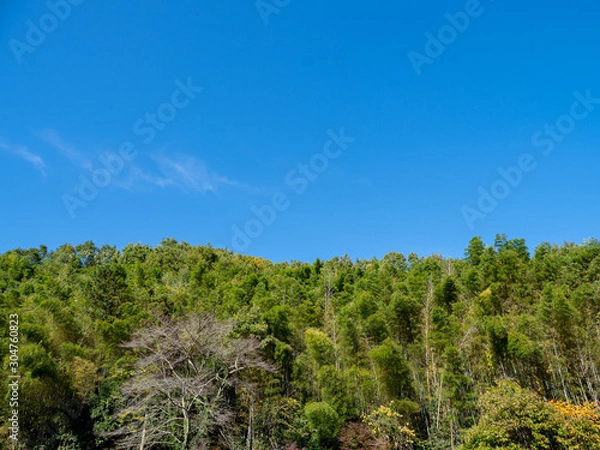 Obraz 紅葉が始まった山と秋晴れの青空