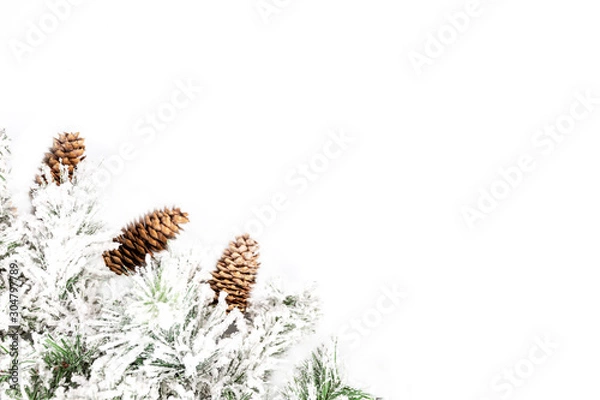 Fototapeta Snow-covered spruce decorative branch with cones on a white background. Space for text.