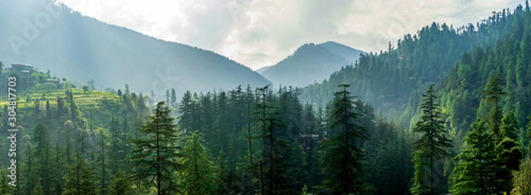 Obraz Mountain Mountain, Jeebhi, Tirthan Valley, Himachal Pradesh, Indie