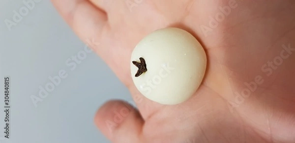 Obraz Doce de leite em pó