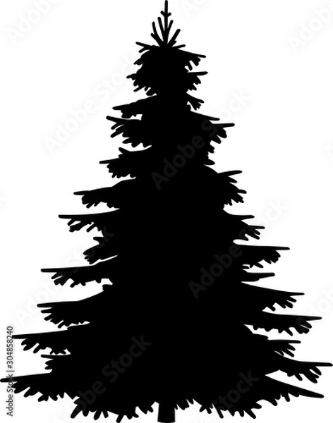 Obraz Tanne Silhouette