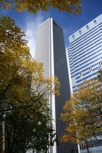 Fototapeta aon tower and autumn color