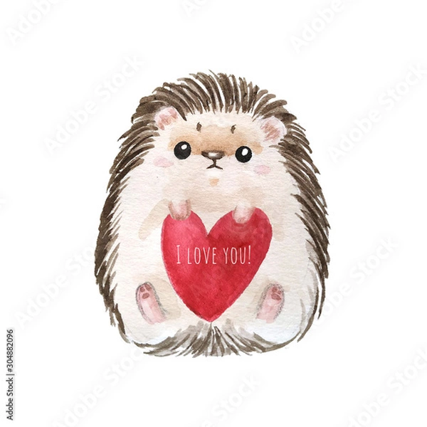 Obraz Holiday card with hedgehog, red heart and text I love you for St. Valentine day. White background with cute watercolor cartoon character. - Illustration