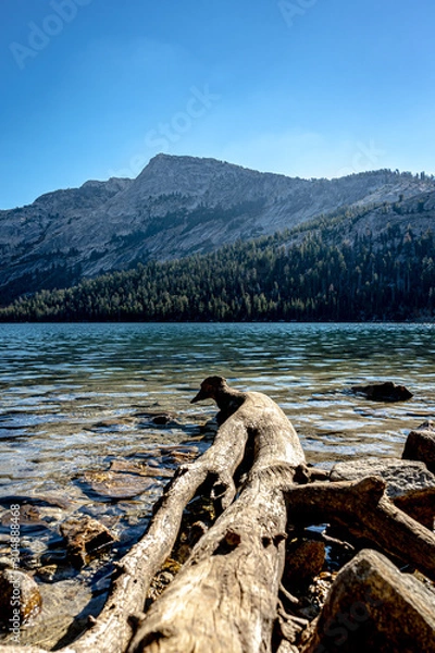 Obraz lake in the mountains