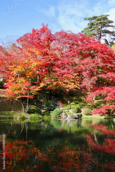 Fototapeta モミジ・秋の霞ヶ城公園（福島県・二本松市）