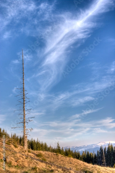 Obraz Threatening skies