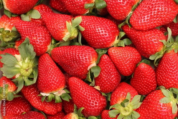 Obraz Fresas en caja