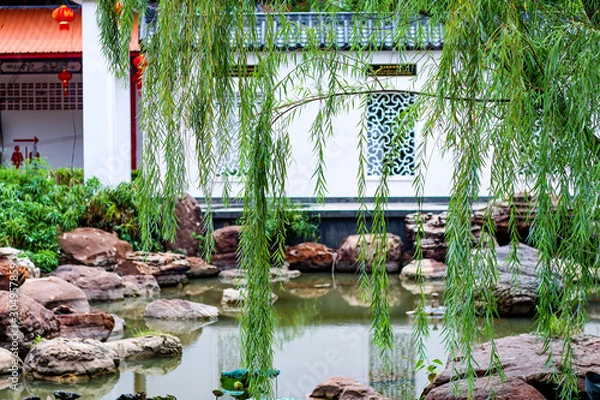 Obraz garden with plants and plants in pots