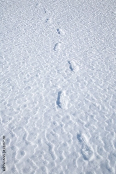 Fototapeta footprints on snow