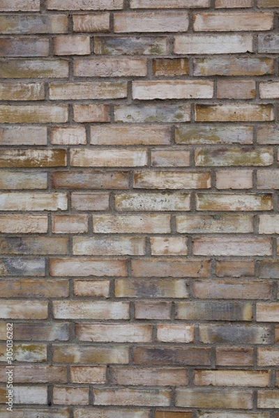 Obraz Backstein Textur