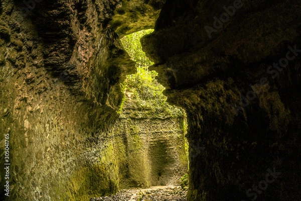 Obraz 洞窟 苔
