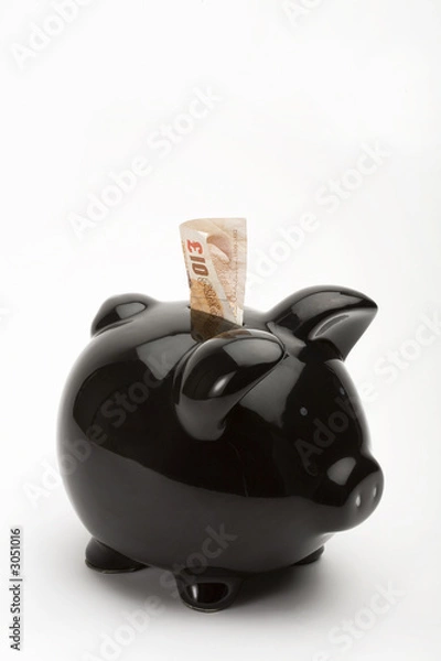 Obraz ten pound note