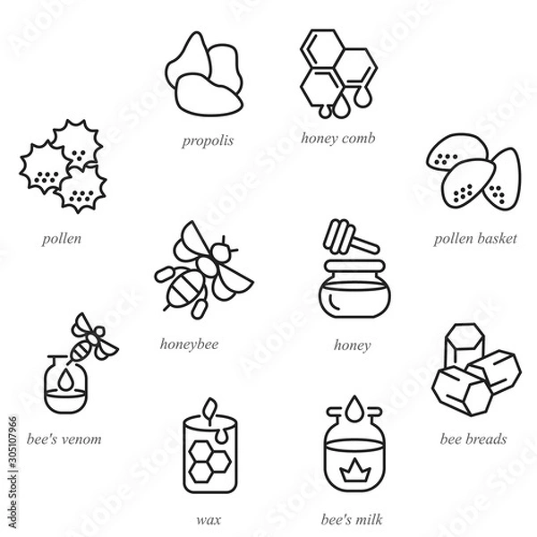 Fototapeta Icons of beekeeping products in line style 