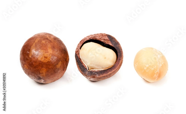 Fototapeta Macadamia nuts isolated on a white background.