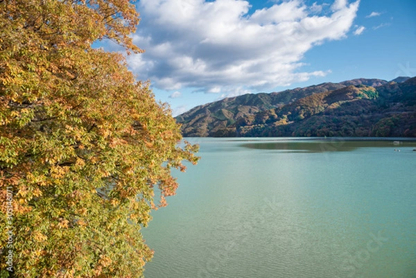 Fototapeta 草木ダム