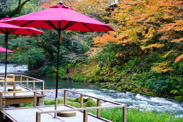 Obraz 鶴仙渓の紅葉