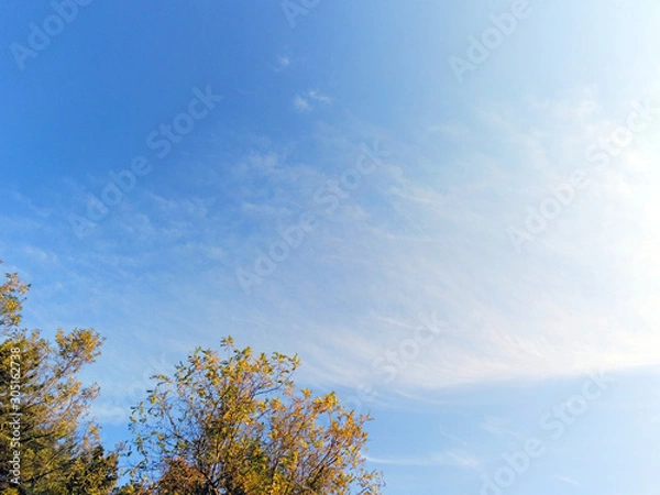 Fototapeta 가을날의 하늘