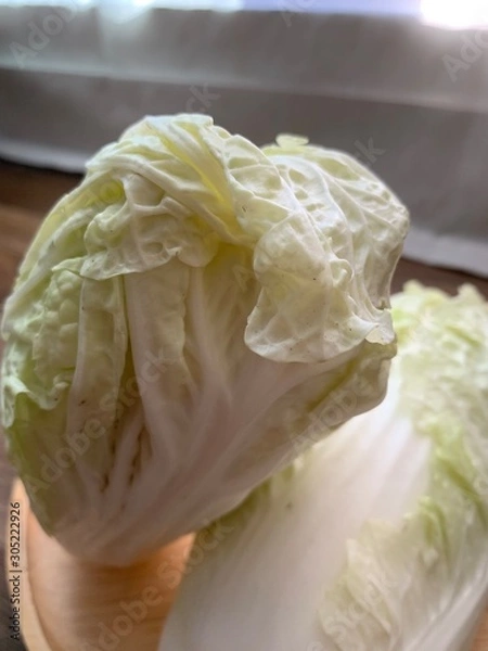 Obraz  cabbage