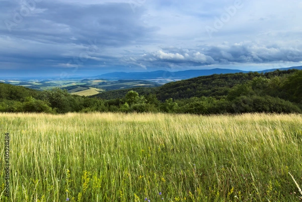 Fototapeta A meadow with tall grass on a stormy day with dramatic cloudy sky and hills in the background