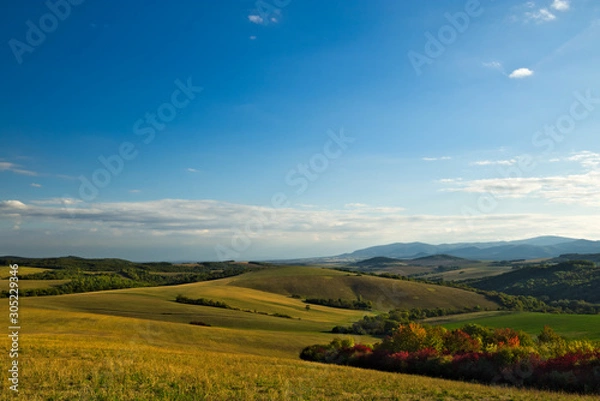 Fototapeta A pasture meadow at the end of summer with mountains in the background