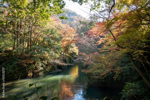 Fototapeta 鶴仙渓