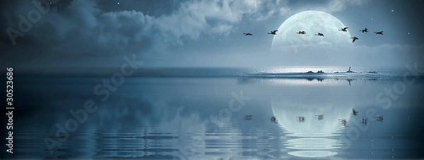 Obraz Fullmoon nad oceanem