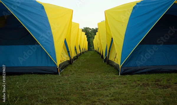 Obraz tent in the forest