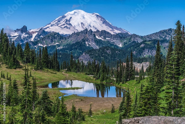 Obraz Mt Rainier nad jeziorem Tipsoo