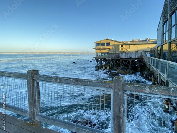 Obraz Monterey Scenery