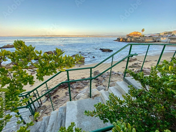 Obraz Monterey Scenery