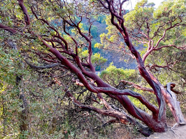 Obraz Natures Colors