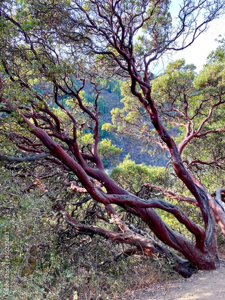 Obraz Natures Colors