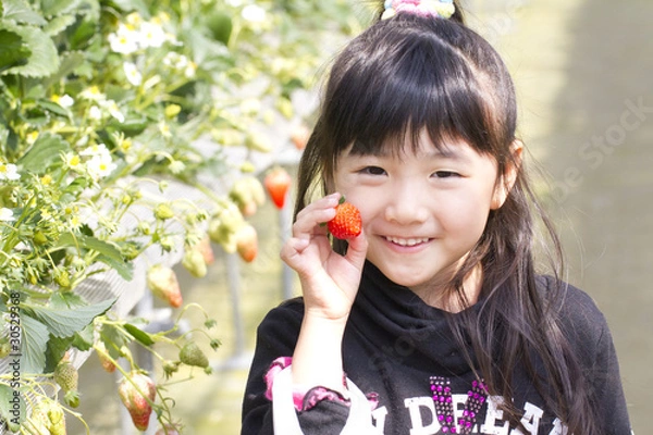 Obraz イチゴ狩り