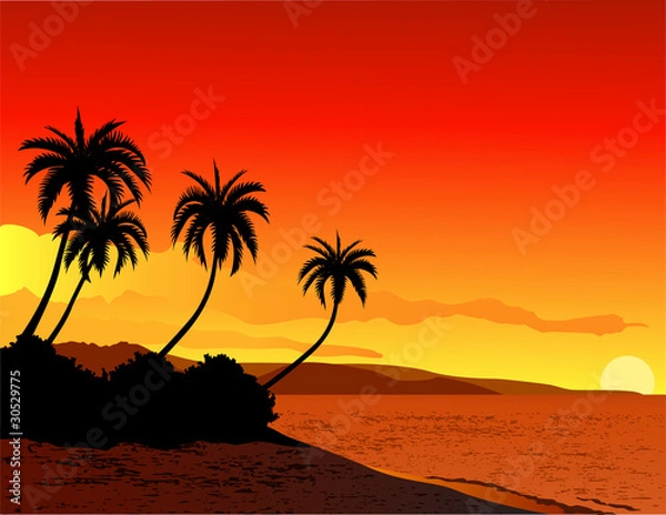 Fototapeta tropical beach background