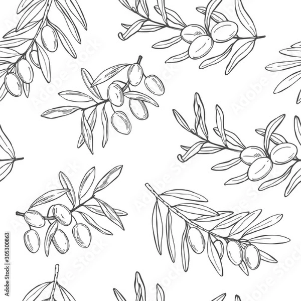 Fototapeta Hand drawn olive. Branches with fruits.Vector  seamless pattern.