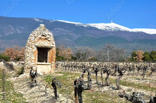 Obraz entre vignes et Ventoux