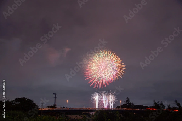 Fototapeta Japanese fireworks display
