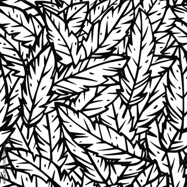 Obraz Vector black and white seamless pattern. Abstract leaves or feathers. Nature elements decoration. Wallpaper background. Template for linen, textile, napkins, clothes,upholstery. Graphic design artwork