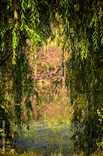 Obraz природа,лес,речка,река,утро у реки, туман на реке пейзаж, осенний пейзаж,парк , гидропарк.