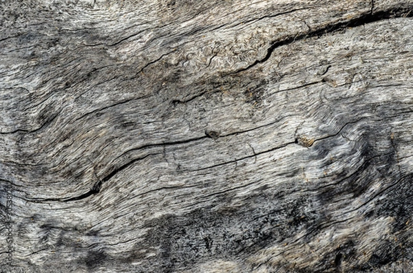 Fototapeta структура дерева, структура дуб, дуб, дизайнер,рельеф дуба, дерево