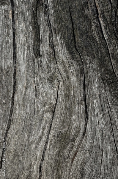 Obraz структура дерева, структура дуб, дуб, дизайнер,рельеф дуба, дерево