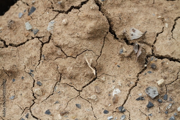 Obraz dry cracked earth