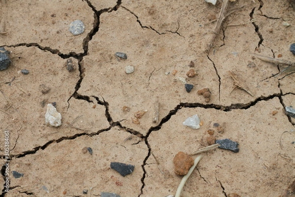 Obraz dry cracked earth